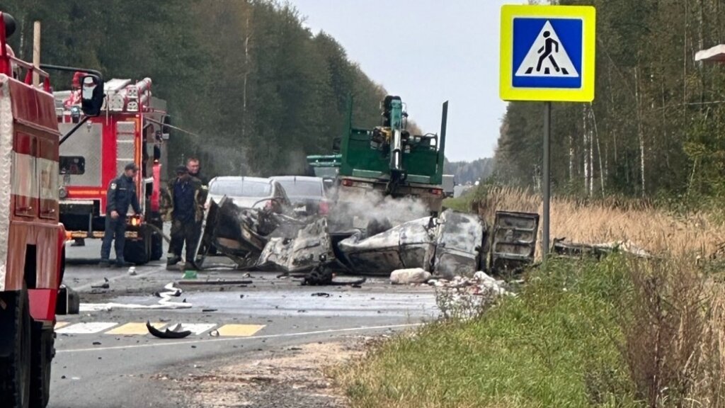 Огненное ДТП произошло на трассе &#171;Золотое кольцо&#187;: погибли 5 человек
