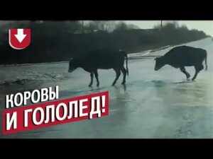 Без имени.jpg