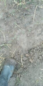 WhatsApp Image 2025-11-27 at 16.13.431.jpeg