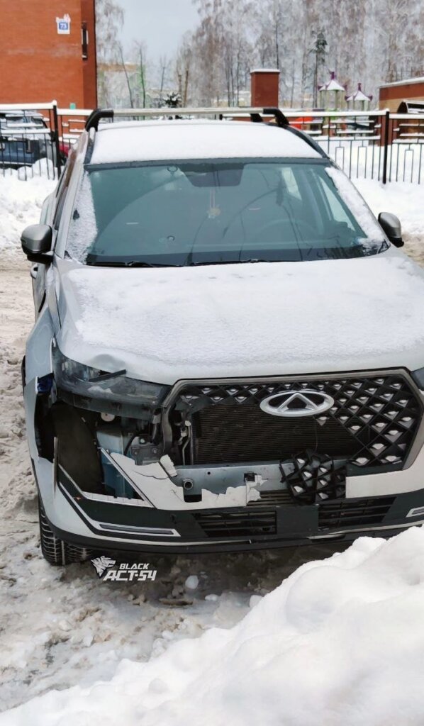 На трассе Барнаул — Новосибирск автомобиль сбил косулю, которая убегала от волка