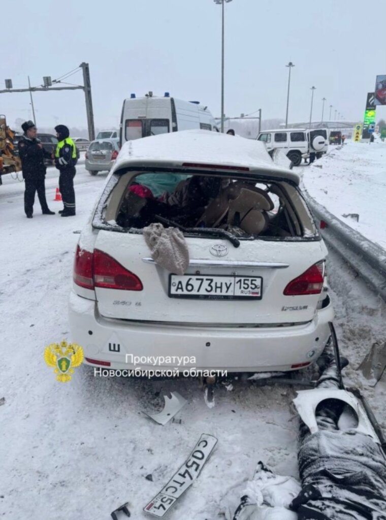«Рыдал над телами»: в Новосибирске водитель «Мерседеса» проехал на красный и убил 6 человек