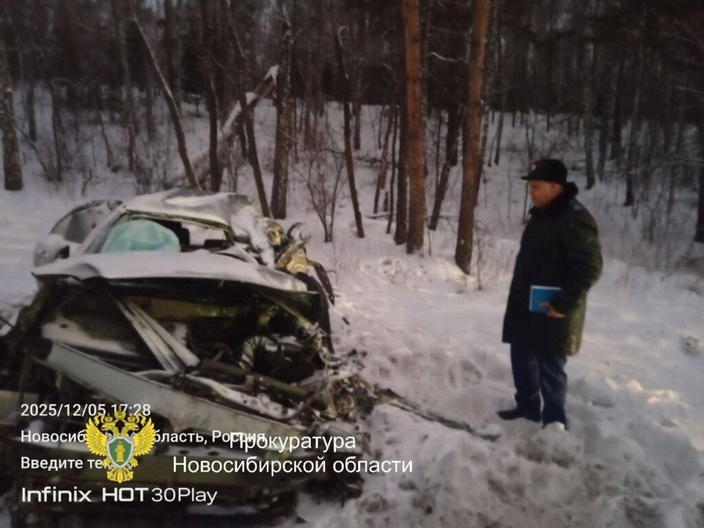 «Предпринял попытку обгона»: двое взрослых и ребенок погибли в ДТП на трассе «Сибирь»