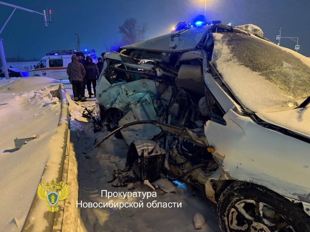 «Рыдал над телами»: в Новосибирске водитель «Мерседеса» проехал на красный и убил 6 человек