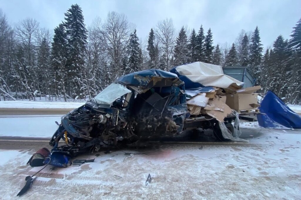 70-летний водитель «Газели» погиб в ДТП на трассе М-8
