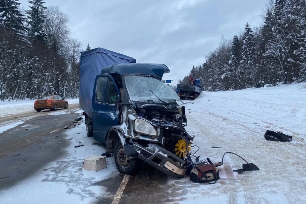 70-летний водитель «Газели» погиб в ДТП на трассе М-8