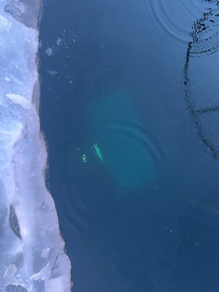 УАЗ с туристами из Китая провалился под лёд Байкала: погибли 8 человек