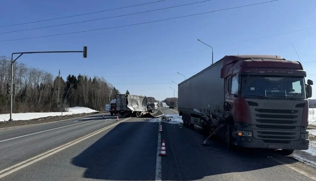 «Ушел от столкновения на встречную»: «Газель» и Scania столкнулись в Шексне