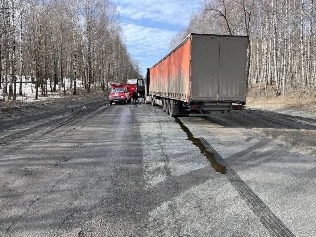 Микроавтобус и фура столкнулись на трассе М-5 в Челябинской области