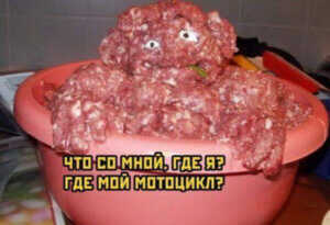 Где мой мотоцикл.jpg