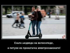 петушня.png