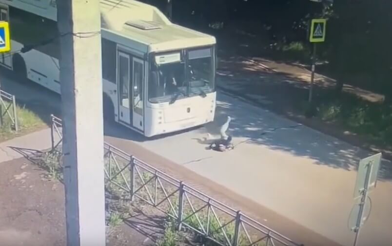 Автобус сбил школьницу на пешеходном переходе в Можге