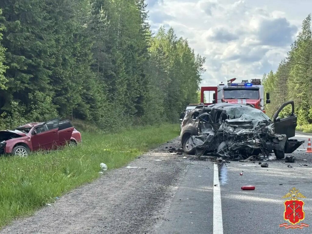 Двое взрослых и двое детей погибли в лобовом ДТП в Ленобласти