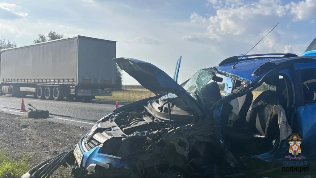 Отвлеклась на детей или уснула? Женщина за рулем Renault врезалась во встречную фуру на трассе Тюмень–Омск
