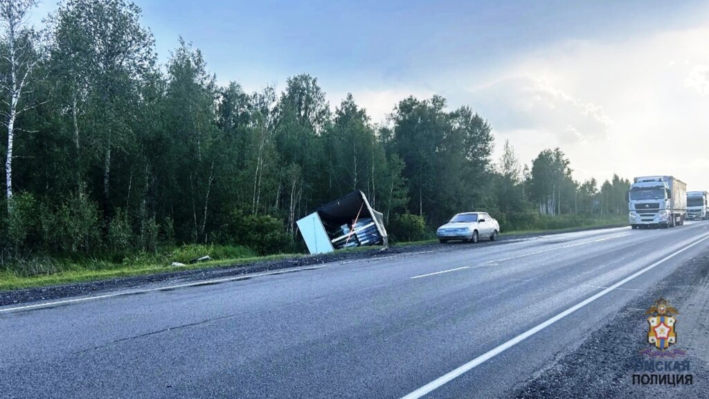 Отвлеклась на детей или уснула? Женщина за рулем Renault врезалась во встречную фуру на трассе Тюмень–Омск