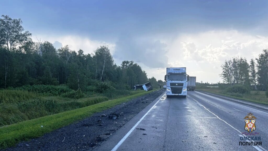 Отвлеклась на детей или уснула? Женщина за рулем Renault врезалась во встречную фуру на трассе Тюмень–Омск
