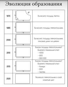 площадь прямоугольника.jpg