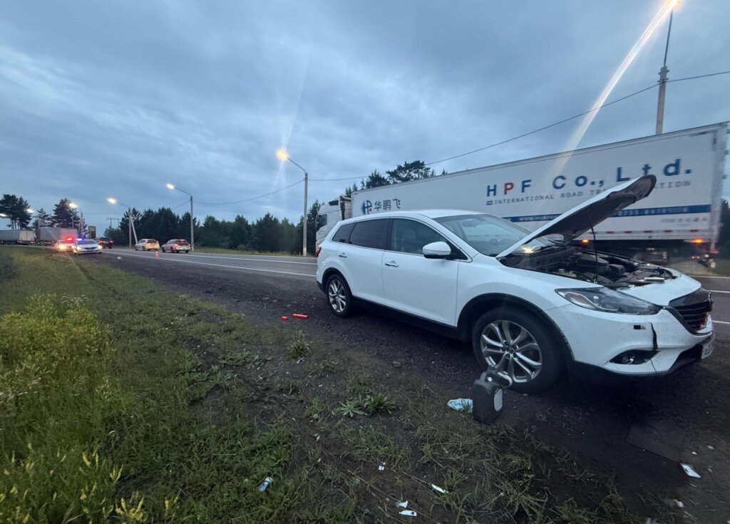 «Внезапно решила перебежать дорогу»: автомобиль сбил женщину в Иркутской области