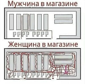 МиЖ_магаз.jpg