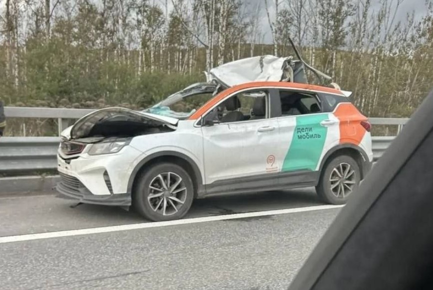 Каршеринговый автомобиль сбил лося на КАД в Санкт-Петербурге
