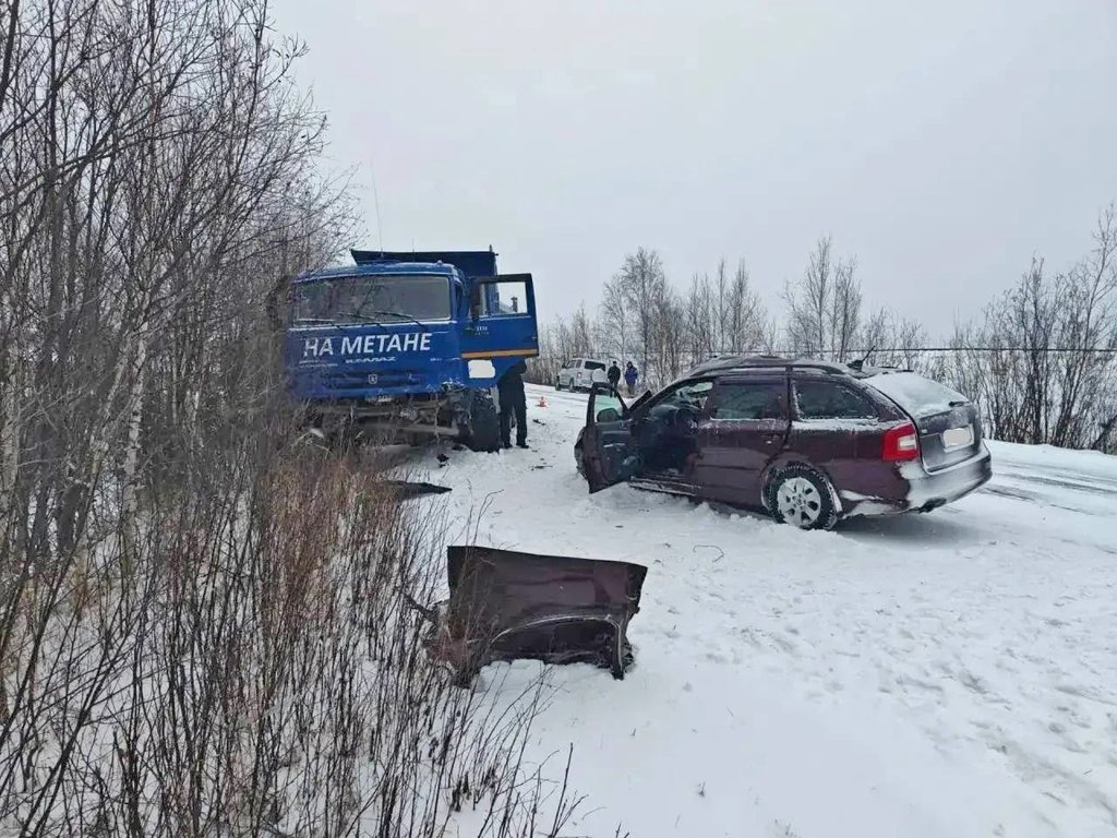 «Шкоду» занесло на встречную полосу на трассе Сургут — Салехард: погиб пассажир