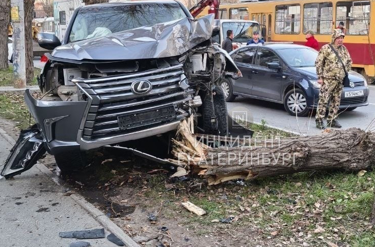 Появилось видео, как «Лексус» сносит дерево в Екатеринбурге