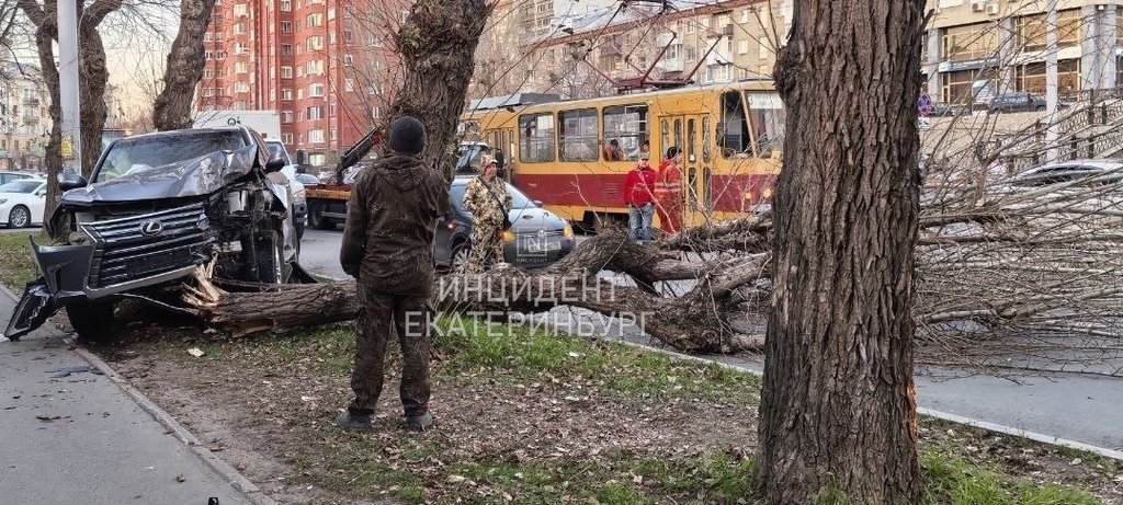Появилось видео, как «Лексус» сносит дерево в Екатеринбурге