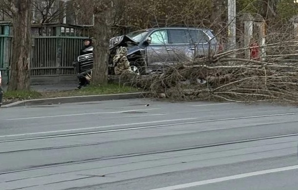 Появилось видео, как «Лексус» сносит дерево в Екатеринбурге