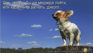 Личный кабинет