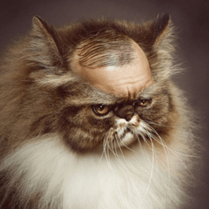 Личный кабинет