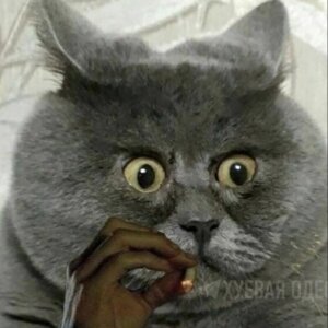 Личный кабинет