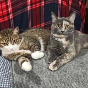 Личный кабинет