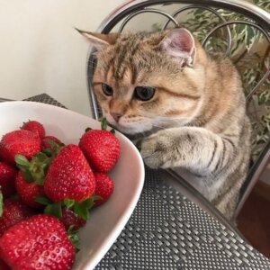 Личный кабинет